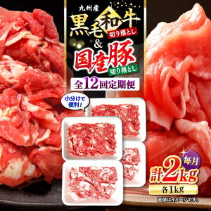 yӂ邳Ɣ[Łzy12ցzy炱IzBYјa Y ؂藎Ƃ v24kgi2kg×12j{{{Y [CFA024]