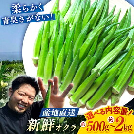 【ふるさと納税】【先行予約】朝採れ直送 オクラ 約500g~計2kg ＜パッパラパー農園＞ [CFI001] おくら 野菜 夏野菜 新鮮 産地直送 採れたて とれたて サラダ 長崎 西海市 夏野菜