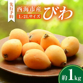 【ふるさと納税】【数量限定】【先行予約】 びわ 枇杷 西海市産 約1kg L〜2Lサイズ＜パッパラパー農園＞ [CFI002] ビワ 果物 フルーツ 新鮮 1kg Lサイズ 2Lサイズ