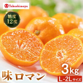 【ふるさと納税】【高島屋選定品】【先行予約】＜九州屋＞ 味ロマン3kg（L〜2Lサイズ）＜高島屋＞[CFQ057] みかん ミカン 蜜柑 柑橘 高糖度 甘い 高品質 ブランド 九州屋 高島屋
