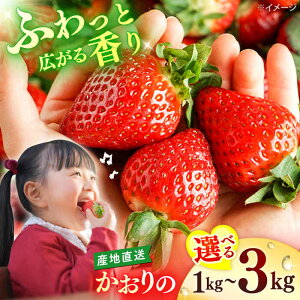yӂ邳Ɣ[Łzys\zy1菇zCsY  úvv1`3kg _[CFV001]  C`S   ʕ ʎ t[c