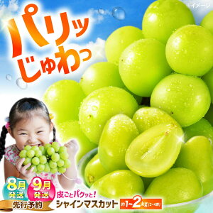 yӂ邳Ɣ[Łzy2026NnzyȂ炲Ɓz VC}XJbg 1kg`2kg__[CGN001] Ԃǂ uhE  Ȃ 嗱 }XJbg VC}XJbg ʕ t[c V