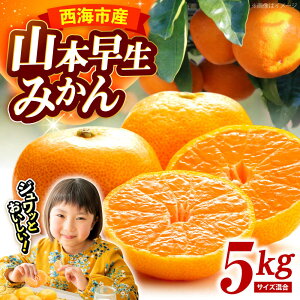 yӂ邳Ɣ[Łzy11{zJnz R{ ݂ 5kgiS,MTCYj_t@[[CGT001]  C ݂  ~J k ʕ t[c fU[g ݂  Mt