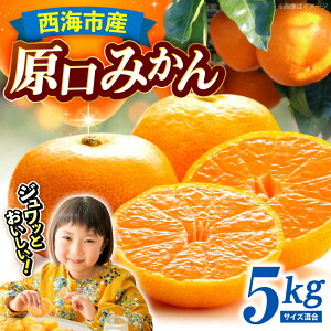 yӂ邳Ɣ[Łzy11{zJnz ݂ 5kg iS,MTCYj_t@[[CGT002]  C ݂ ݂ ~J ݂  k ʕ t[c