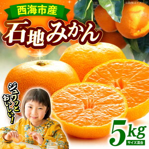 yӂ邳Ɣ[Łzy12{zJnz Βn݂ 5kg iS,MTCYj_t@[[CGT003]  C ݂  ~J k ʕ t[c fU[g Βn݂  Mtg 