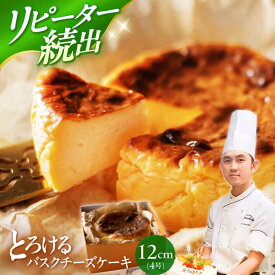 【ふるさと納税】【お客様の声から誕生！】いわしたの バスクチーズケーキ 1個 ＜お菓子のいわした＞[CAM068] 長崎 西海 チーズケーキ ケーキ お祝い 誕生日 記念日 贈答 ギフト 熨斗 9000円 9千円 10000円 1万円