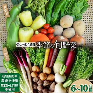 yӂ邳Ɣ[Łz G߂̏{؃Zbg 6`10i lߍ킹 Yn [_ނ_ 茧 _s item2200] ₳ m  Gߖ Hה