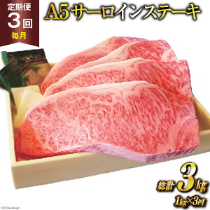 yӂ邳Ɣ[Łz  3  _炿 틍 A5 T[CXe[L v3kg(1kg×3) Xe[L јa Ⓚ [ē 茧 _s item2113]