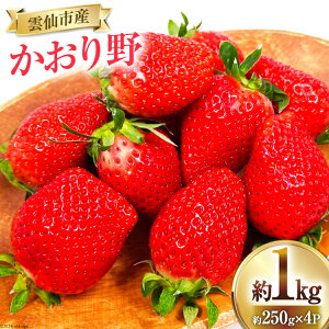 yӂ邳Ɣ[Łz yԌ蔭z   1kg 250g × 4pbN [ӂ邳Ɗ 茧 _s item1163]  C`S  t[c ʕ Ԍ Gߌ