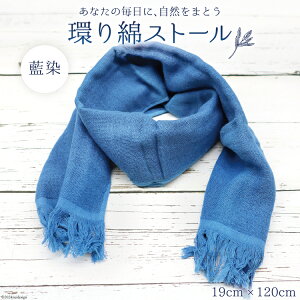 yӂ邳Ɣ[Łz  Xg[  [ACAJlH[ 茧 _s item1667] t     { Rbg I[KjbN