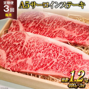 yӂ邳Ɣ[Łz  3  _炿 틍 A5 T[CXe[L v1.2kg(400g×3) [ē 茧 _s item2110] Xe[L јa Ⓚ