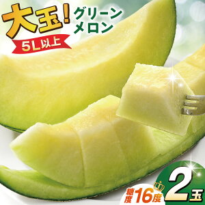 yӂ邳Ɣ[Łz yԌ蔭zO[ x16x 5L (2.2kgȏ)×2 [IFLOWER 茧 _s item1937]   t[c ʕ Ԍ