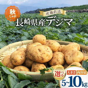 yӂ邳Ɣ[Łz yԌ蔭z Ⴊ 5kg 10kg fW} Iׂe HႪ[Ȃ񂮂fW}vWFNg`[ 茧 _s item2056] WKC 5L 10L HႪ 