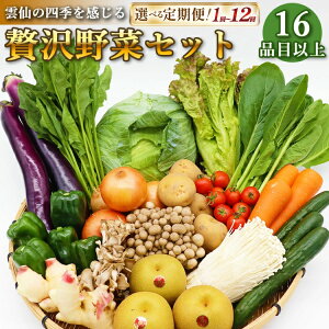 yӂ邳Ɣ[Łz ґ  Zbg ǂ 16iڈȏ G߂̖ t[c LmR lߍ킹 Iׂ[g 茧 _s item2061] ؃Zbg ʕ ₳ ̂   3 