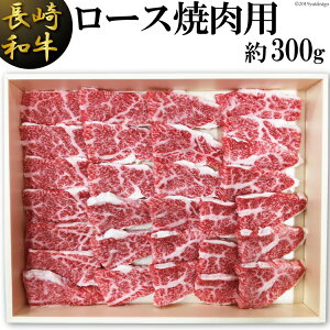 yӂ邳Ɣ[Łz a [X ēp  300g [__Ƌg AR[v 茧 _s item1649]  Ă a Y јa