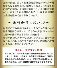 【ふるさと納税】長崎和牛サーロインステーキ(約300g)