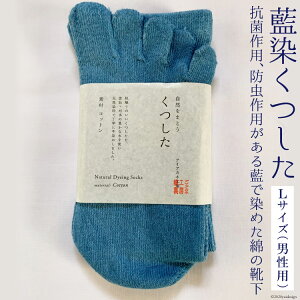 yӂ邳Ɣ[Łz @LTCYijpj24`26cmx [ACAJlH[ 茧 _s item1179] C   R h jp