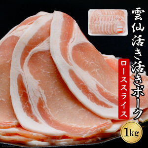 yӂ邳Ɣ[Łz ySESȓؓz_劈|[N [X XCX 1kg [rؐX 茧 _s item1641] ؓ [XXCX Y