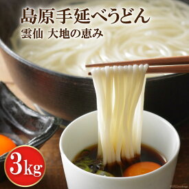 【ふるさと納税】【雲仙 大地の恵み】島原手延べうどん3kg / コロニーエンタープライズ / 長崎県 雲仙市 [item1064]