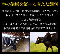 【ふるさと納税】雲仙牛A-5極上すき焼き・しゃぶしゃぶ用詰め合わせ400g