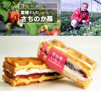 【ふるさと納税】BonPattyワッフル・シュークリーム詰合せ