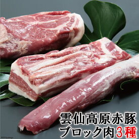 【ふるさと納税】長崎県産 雲仙高原赤豚 【ブロック肉3種】 約1900g