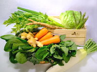 【ふるさと納税】旬鮮雲仙野菜の詰め合わせ