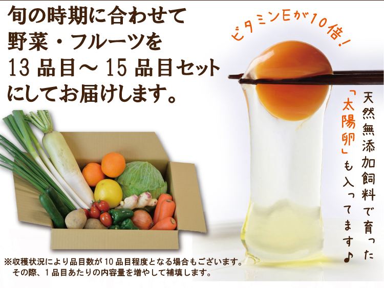取扱店舗限定アイテム 広島県産旬のお野菜詰合わせ 産みたて卵10個付き