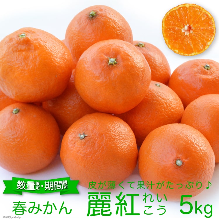 豊富でジューシー クセになる味わい 希少品種 麗紅 れいこう 5キロ 柑橘
