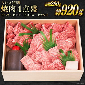 yӂ邳Ɣ[Łz _炿 틍 Iē4_ oEヂEネ[XEJr [ē 茧 _s item2103]   јa r[Ly[