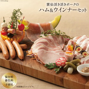 yӂ邳Ɣ[Łz lߍ킹 nXCX 100g×2 [XnXCX 100g×2 n[uECi[ 80g×1 v480g [v~AEj[ 茧 _s item1802] n EBi[ n XCX