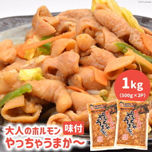 yӂ邳Ɣ[Łz t l̃z Ⴄ܂` 500g×2p v 1kg [pbvEUEZJhR[|[V 茧 _s item1801] z ē  t