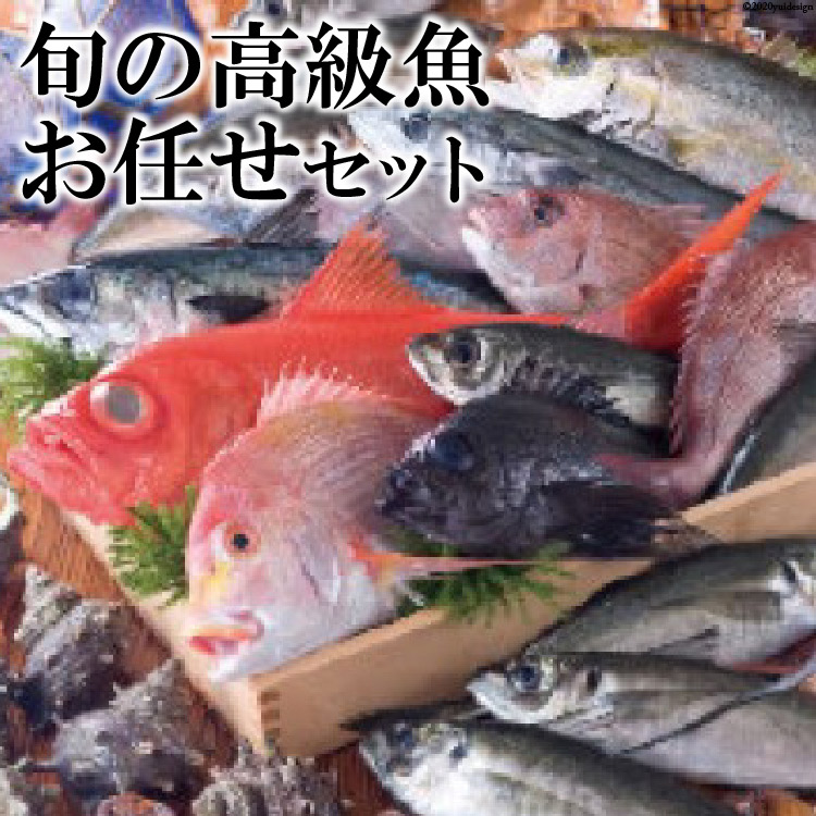 地元橘湾でとれた新鮮な魚や、高級魚介類の詰め合わせ 【ふるさと納税】旬の高級魚お任せセット