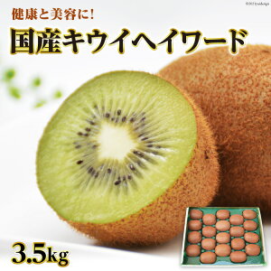 yӂ邳Ɣ[Łz yԌ蔭zyNƔeɁIzY LECt[c LEC wC[h 3.5kg [茧_Yiʍ 茧 _s item2046] ʕ  O[LEC 3.5L