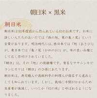 【ふるさと納税】無添加甘酒雲仙の朝日