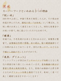 【ふるさと納税】無添加甘酒雲仙の朝日