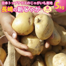 【ふるさと納税】【先行受付】飛子の馬鈴薯5kg（春じゃが） / 長崎県農産品流通合同会社 / 長崎県 雲仙市 [item0093] / 野菜 じゃがいもt ジャガイモ 春じゃが 5キロ