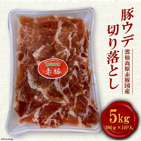 【ふるさと納税】雲仙高原 赤豚 国産 豚ウデ 切り落とし5kg（500g×10P入）/ 長崎県農産品流通 / 長崎県 雲仙市