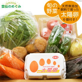 楽天市場 ふるさと納税太陽のタマゴの通販