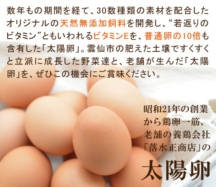 数量限定アウトレット最安価格 8〜10品目セット ”雲仙のめぐみ”旬の 数量限定アウトレット最安価格 8〜10品目セット ”雲仙のめぐみ”旬の