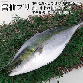 楽天市場 ぶり 一本の通販