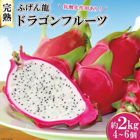 【ふるさと納税】【栄養の宝庫！】完熟 長崎ドラゴンフルーツ「ふげん龍」約2kg(4～6個) / 臼井農産 / 長崎県 雲仙市 [item0542] / フルーツ 果物 ドラゴンフルーツ 2キロ 期間限定