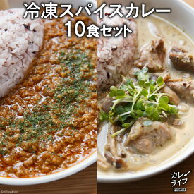 【ふるさと納税】冷凍スパイスカレー10食セット＜カレーライフ＞【長崎県雲仙市】