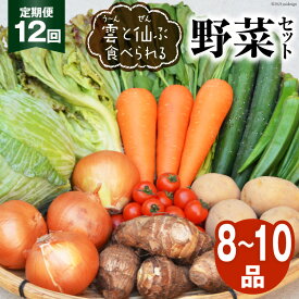 【ふるさと納税】【定期便12回】 雲（う～ん）と仙（ぜん）ぶ食べられる野菜セット （8～10品）＜肥前グローカル＞【長崎県雲仙市】 ふるさと納税 野菜 定期便