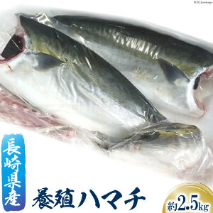 yӂ邳Ɣ[Łz 茧Y {B n}` tB[  2.5kg [cN 茧 _s item2209] ͂܂ Ⓚ tB