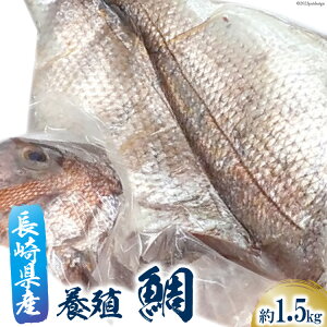 yӂ邳Ɣ[Łz  tB[ 1  1.5kg [cN 茧 _s item1803]  ^C Ⓚ tB