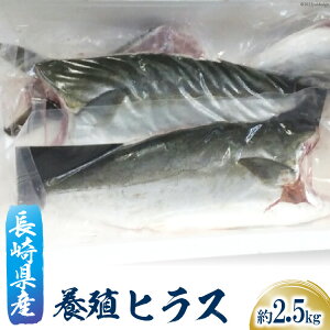 yӂ邳Ɣ[Łz 茧Y{BqX(tB[)