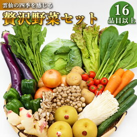 【ふるさと納税】贅沢 野菜 セット どっさり 16品目以上 季節の野菜 フルーツ キノコ 詰め合わせ / 吉岡青果 / 長崎県 雲仙市[item0628]