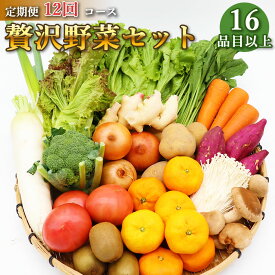 【ふるさと納税】定期便 12回コース 贅沢 野菜 セット どっさり 16品目以上 季節の野菜 フルーツ キノコ 詰め合わせ / 吉岡青果 / 長崎県 雲仙市[item0629]