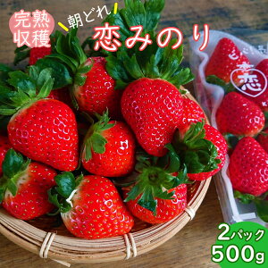 yӂ邳Ɣ[Łz yԌ蔭z  ݂̂ 2pbNi500gȏj 2LTCYȏ VCt@[璼 [g 茧 _s item1500] C`S  ʕ  t[c ʌ